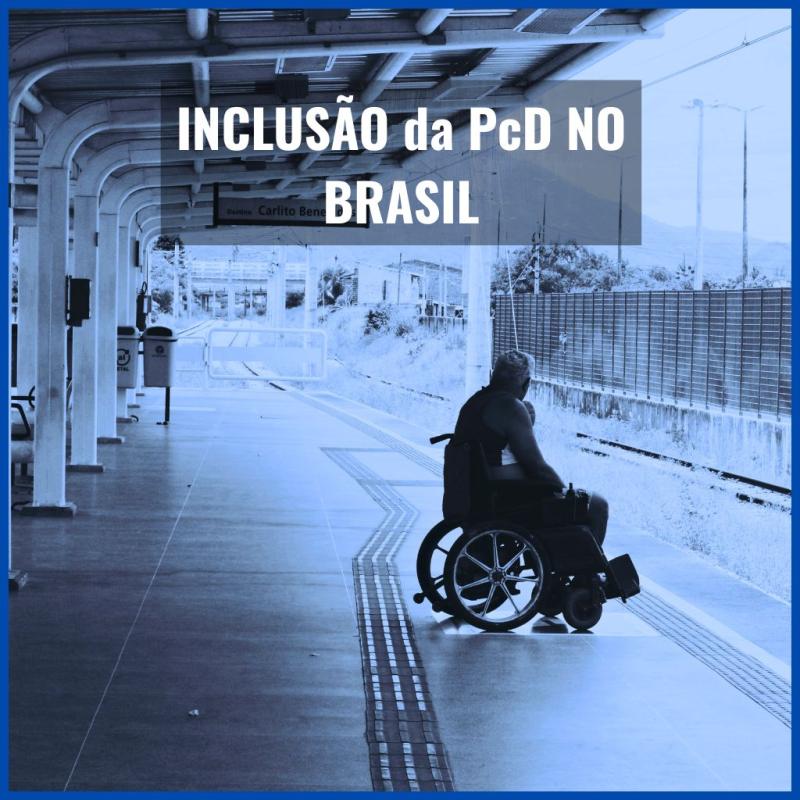 Inclusão de Pessoas com Deficiência no Brasil